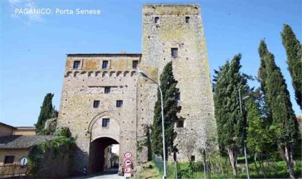 Immagine principale