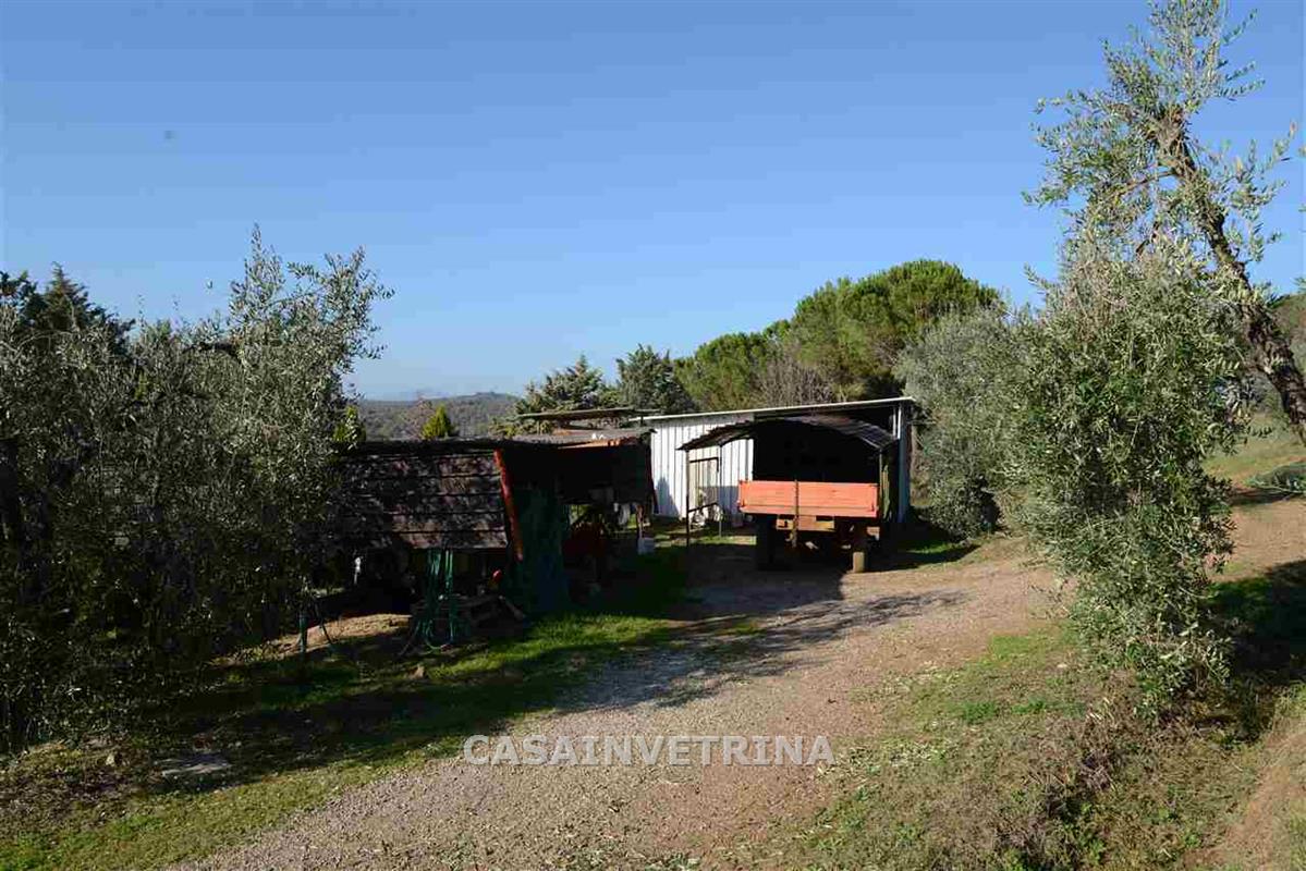 Immobile 10 vani in vendita a CAMPAGNATICO - foto 18