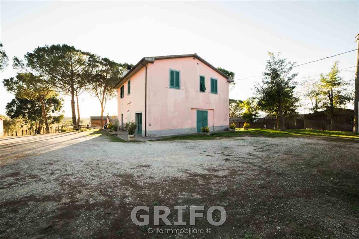 Appartamento 6 vani in vendita a MONTIANO - foto 5