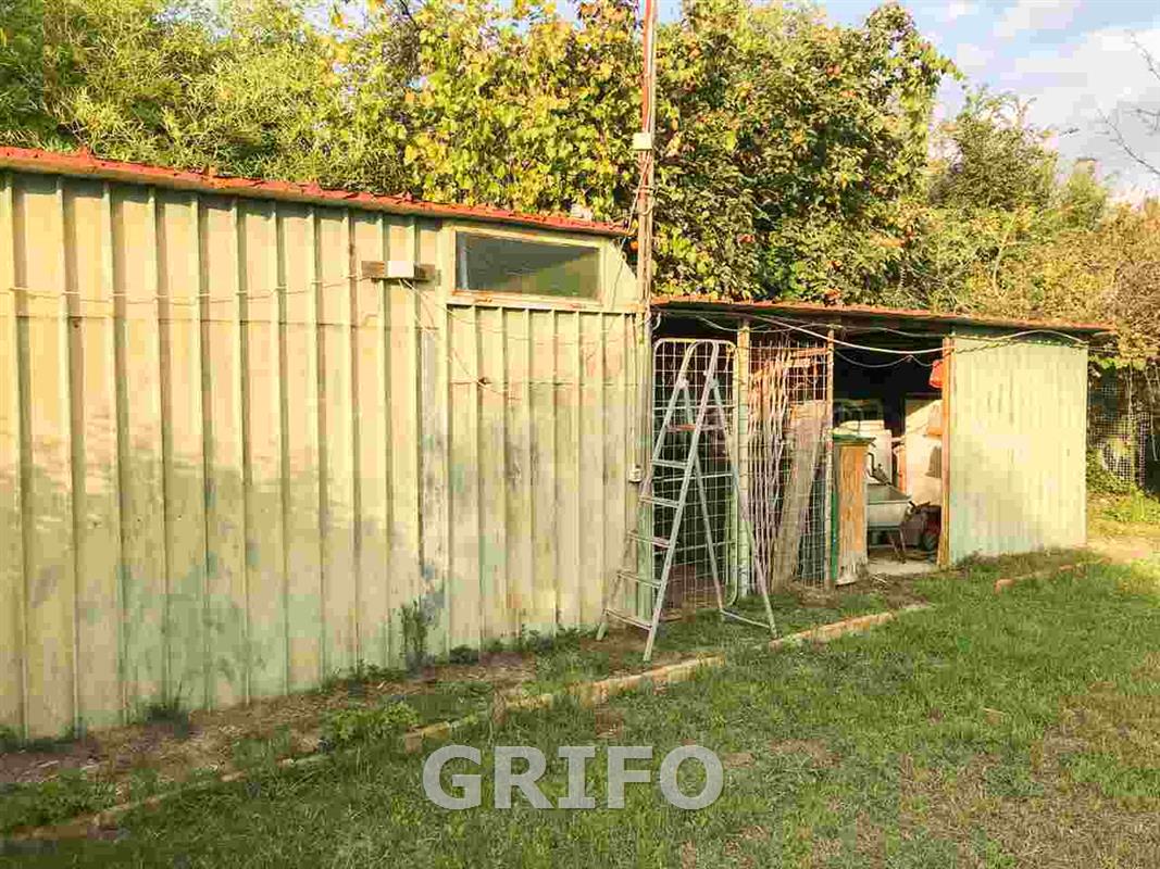 Terreno in vendita a GROSSETO - foto 5