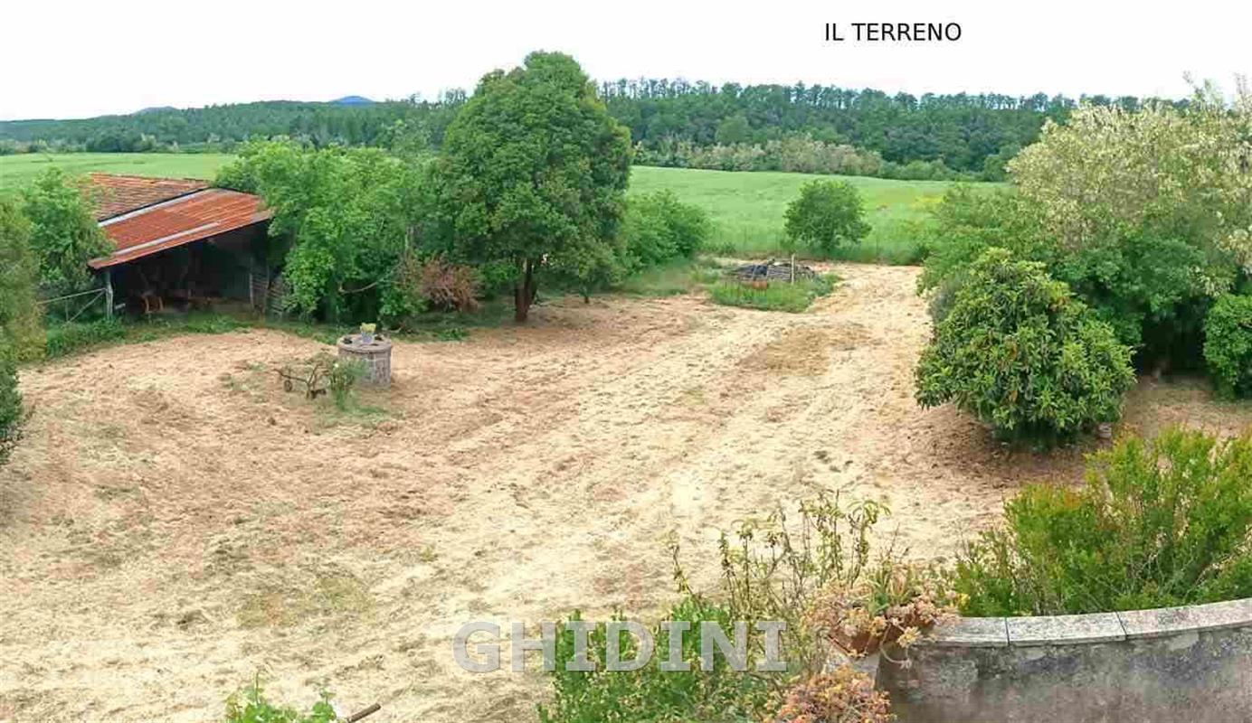 Immobile 10 vani in vendita a CIVITELLA PAGANICO - foto 7