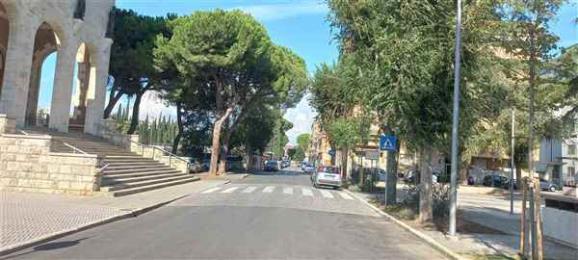 Immagine principale