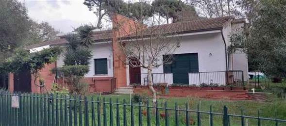 Immagine principale