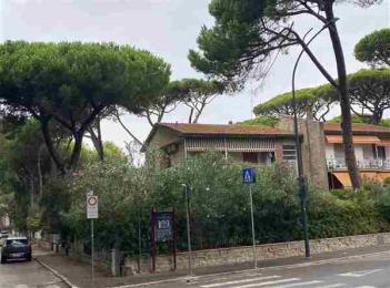 Immagine principale