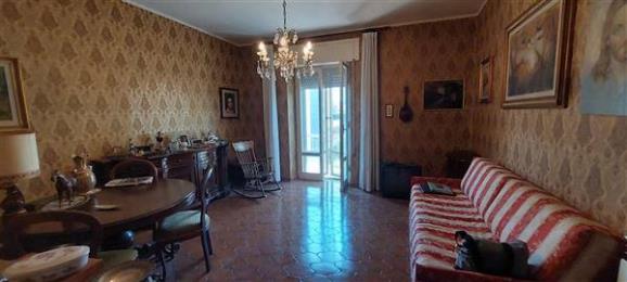 Immagine principale