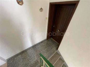 Immagine principale