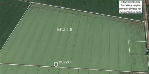 Immagine principale