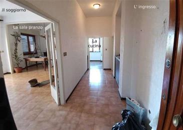 Immagine principale